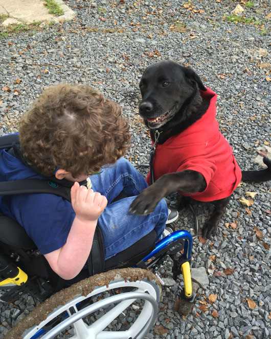 Ben Gets Out And About In His Clik Wheelchair